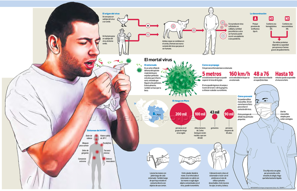 Свиной грипп АH1N1 Инфографика