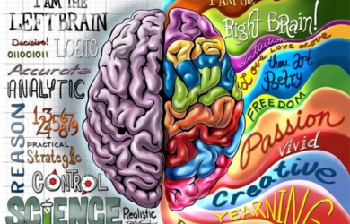 полушария мозга