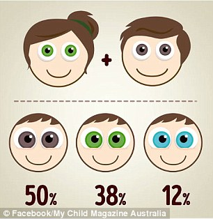 зеленоглазая мама и кареглазый папа. какой цвет глаз будет у ребенка?
