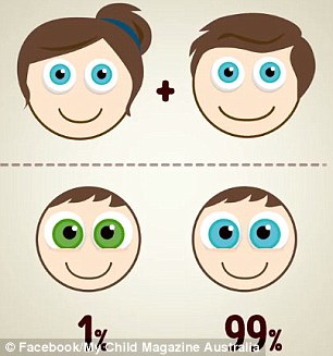 оба родителей голубоглазые. какой цвет глаз будет у ребенка?