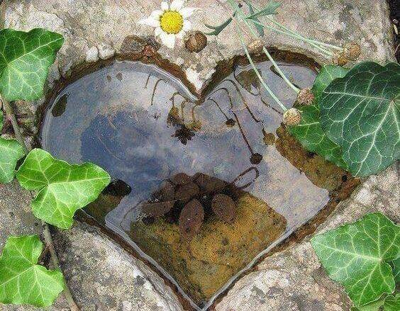 вода в форме сердца