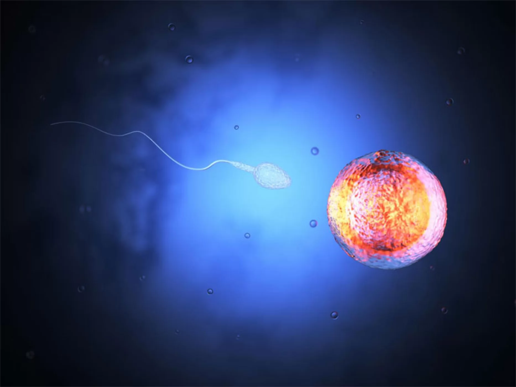 Спермоботы для лечения рака у женщин