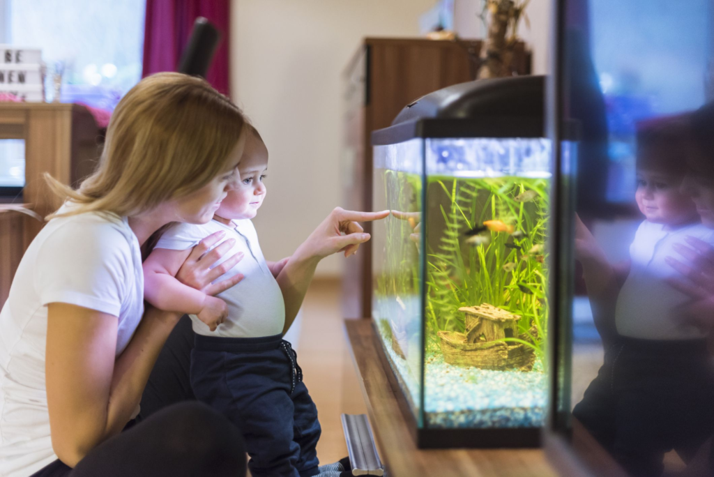 аквариум для детей