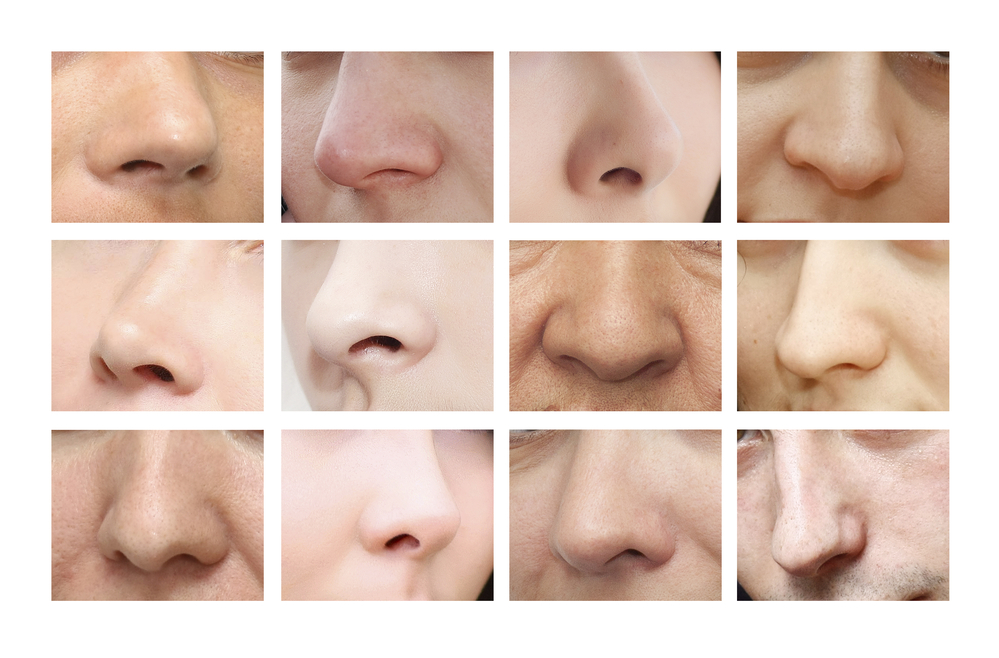 формы носа