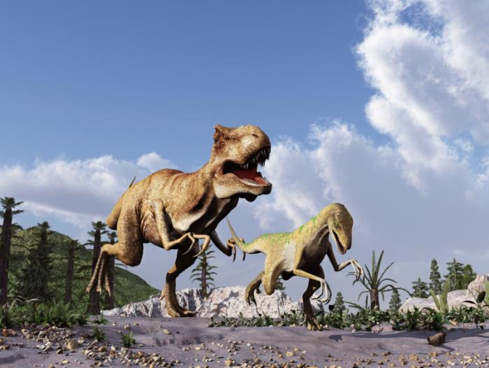фото динозавров