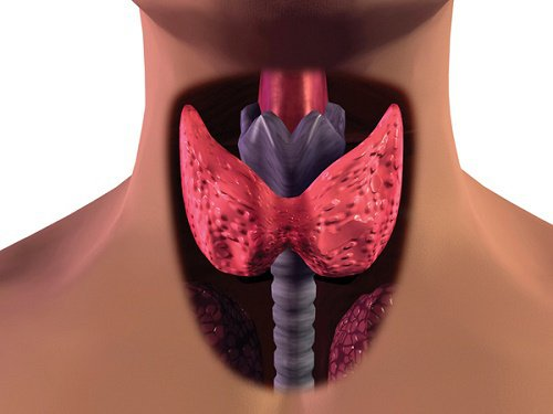 Симптомы рака щитовидной железы у женщин