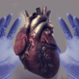 Патология сердечно-сосудистой системы при АНЦА-ассоциированных системных васкулитах