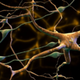 Как «вспомогательные клетки мозга» могут способствовать шизофрении