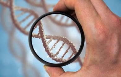 Почему ДНК тест так популярен